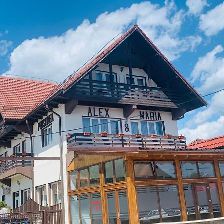 Alex & Maria Hotell Cărpinişu Exteriör bild