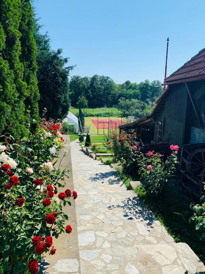 Alex & Maria Hotell Cărpinişu Exteriör bild