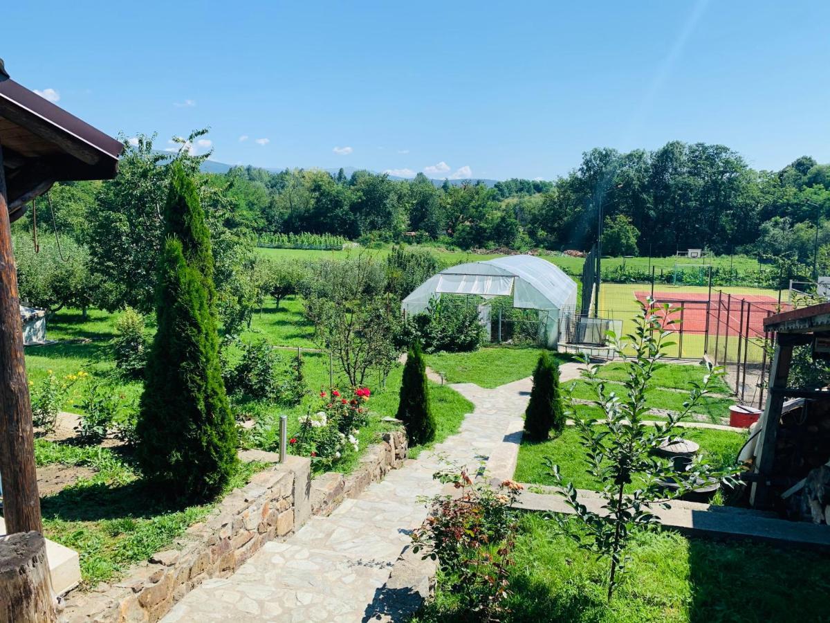 Alex & Maria Hotell Cărpinişu Exteriör bild