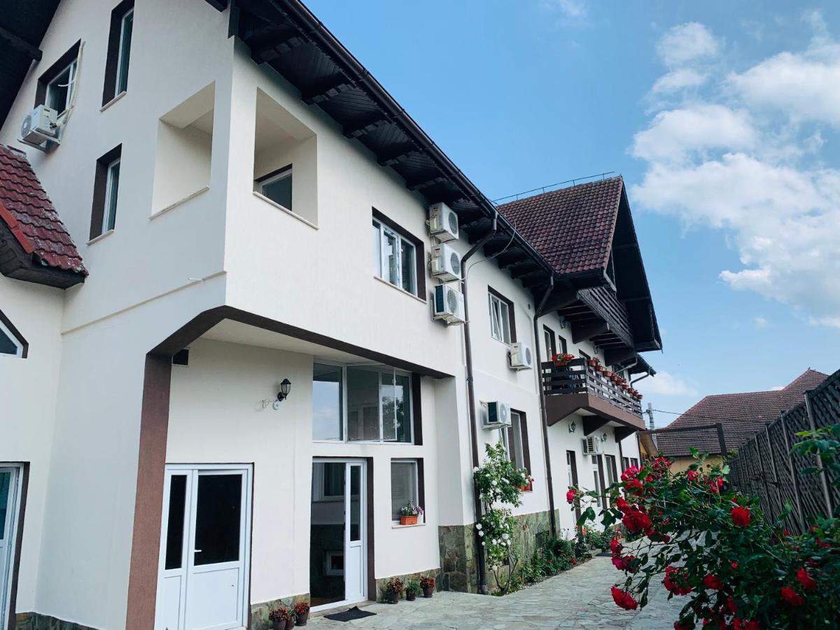 Alex & Maria Hotell Cărpinişu Exteriör bild