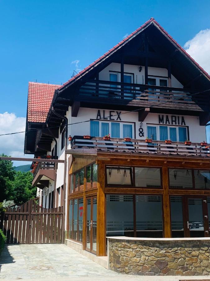 Alex & Maria Hotell Cărpinişu Exteriör bild