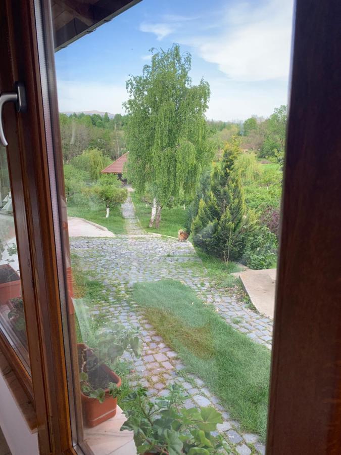 Alex & Maria Hotell Cărpinişu Exteriör bild